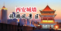 操逼查瑞网站中国陕西-西安城墙旅游风景区